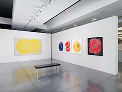 Vue de l'exposition « Mon amie la rose »