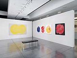 Vue de l'exposition « Mon amie la rose »