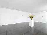 Quentin Derouet J'aime jouer avec les fleurs et vous, 2012-2022 Bouquet de fleurs de saison, dimensions variables Vue de l'exposition de la collection « Le genre idéal », MAC VAL 2025 Photo © Aurélien Mole